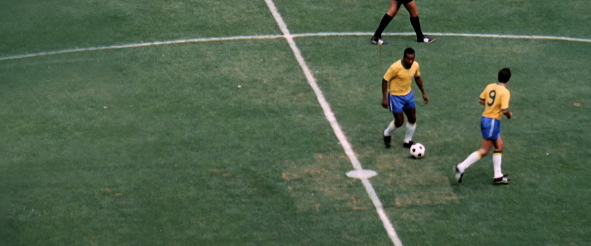 5x Brasil's banner image