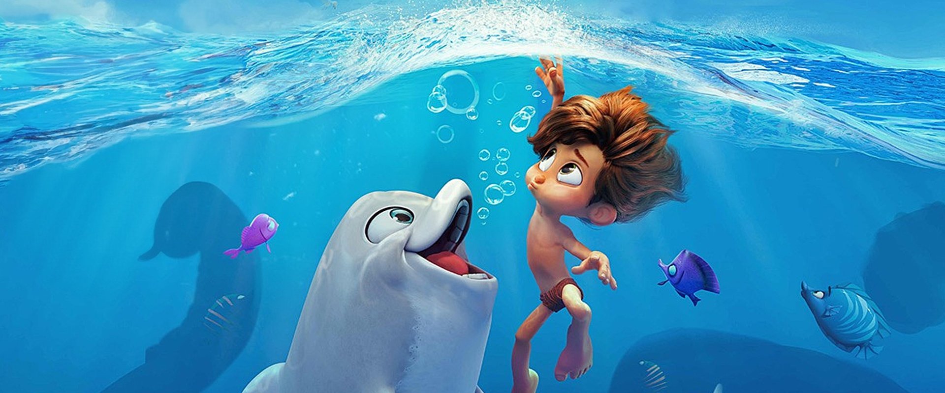 Dolphin Boy's banner image