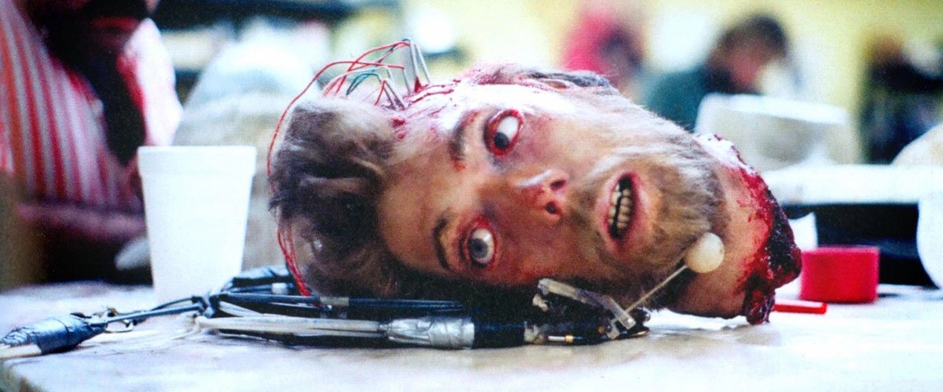 The World's End: The Legacy of 'Day of the Dead''s banner image