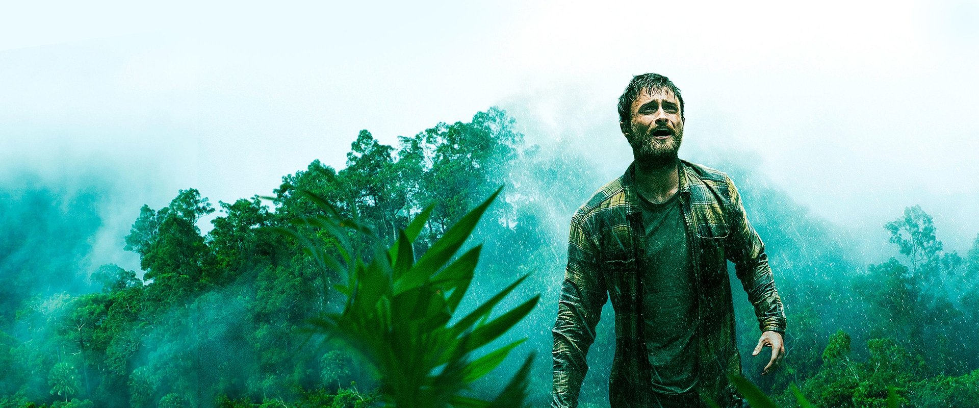 Jungle