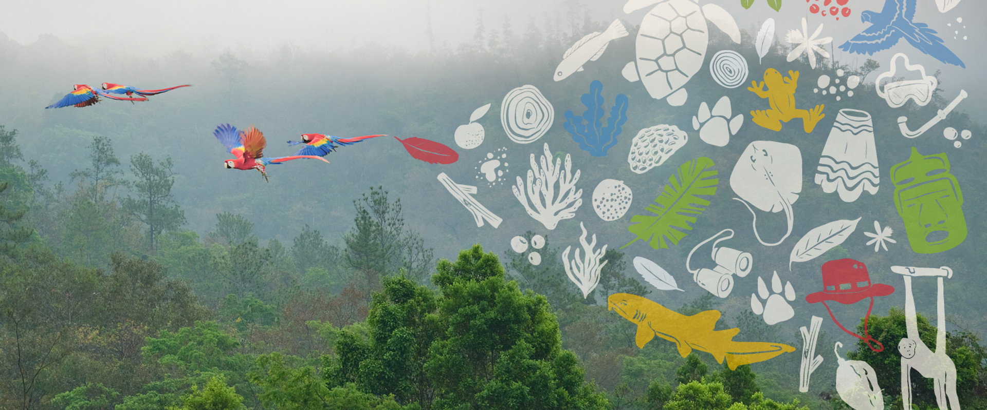 Unknown Belize's banner image
