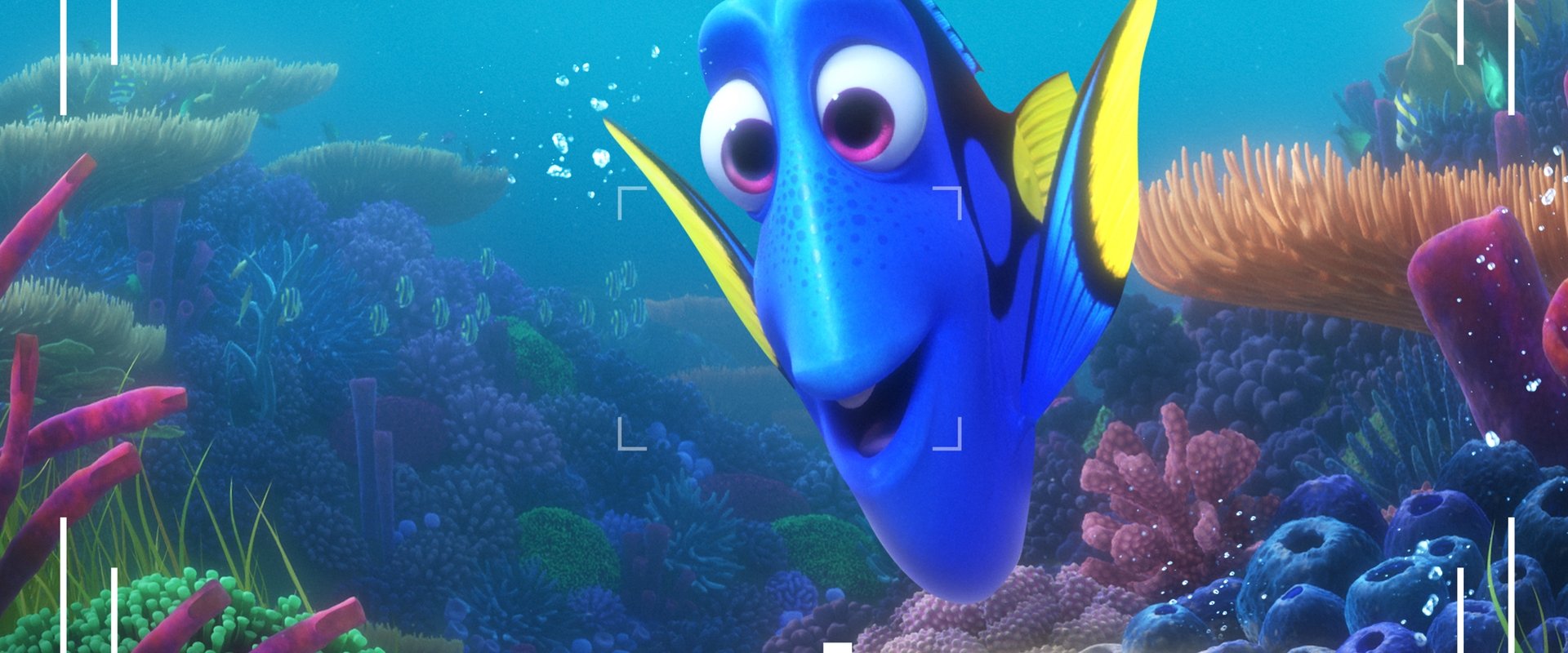 Dory's Reef Cam