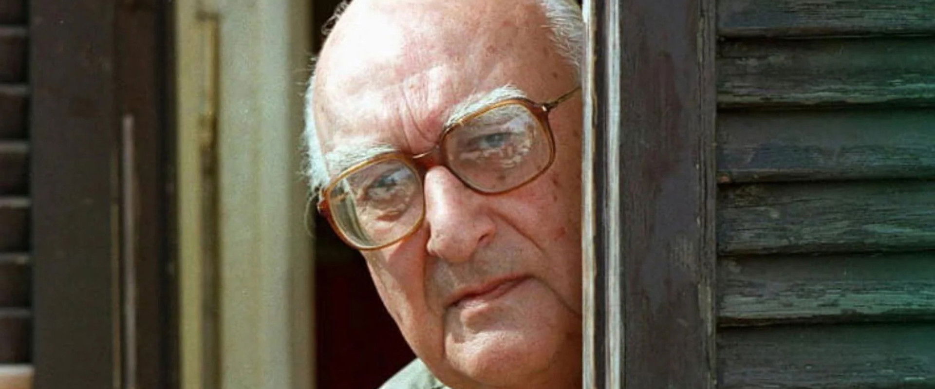 Camilleri 100's banner image