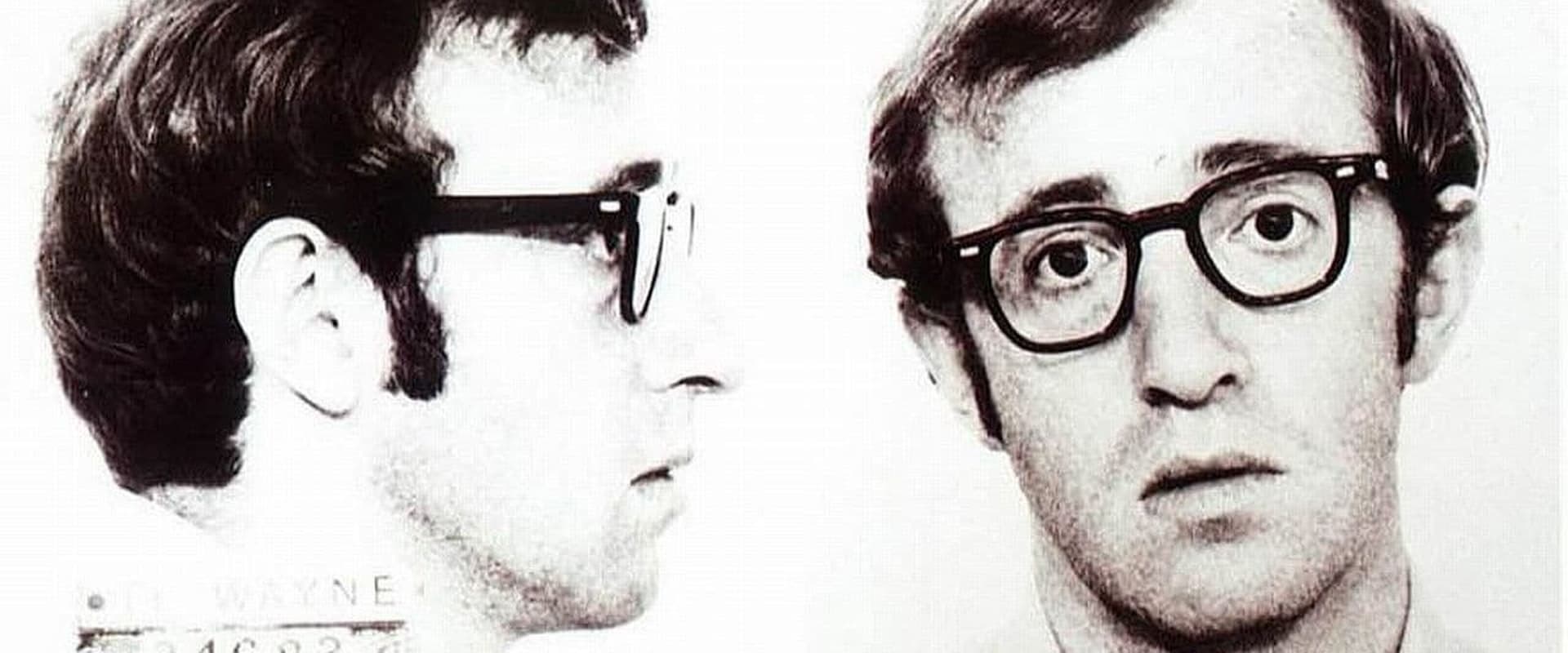 Um Assaltante Bem Trapalhão