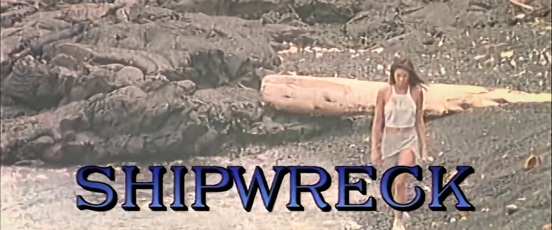 Shipwreck's banner image