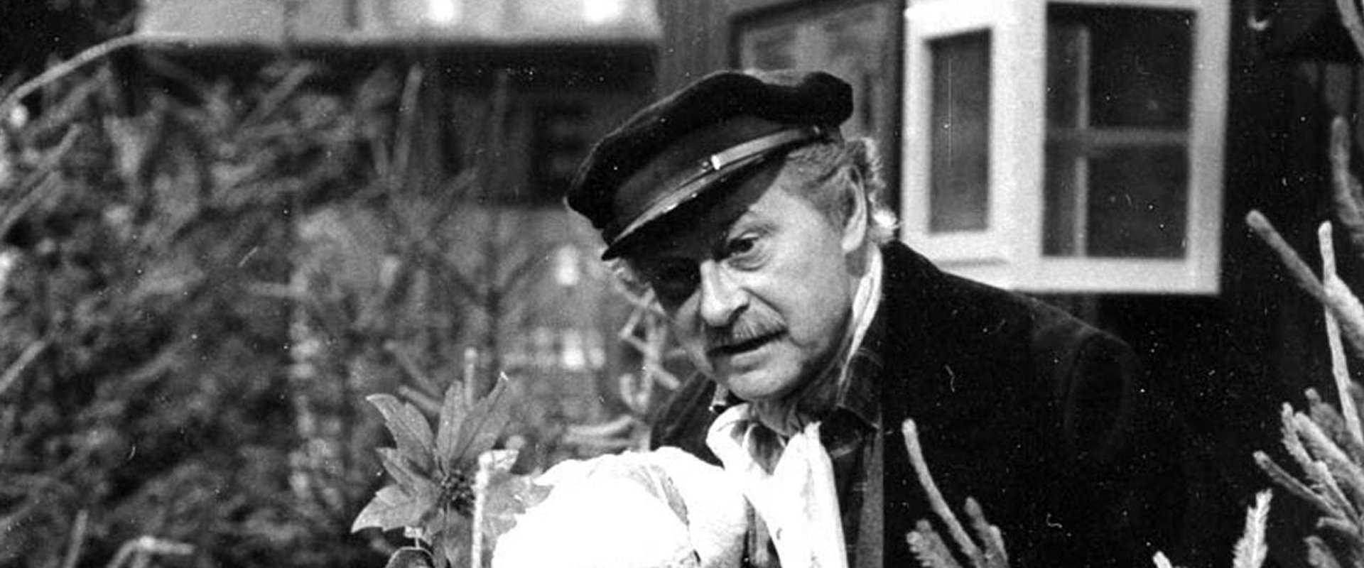Torvet