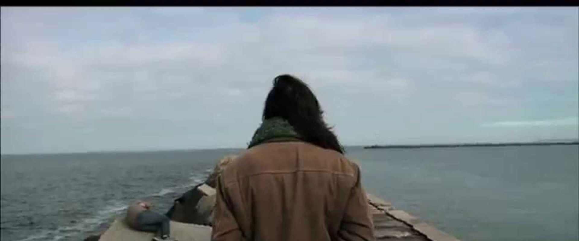 Camel on the Tarmac's banner image