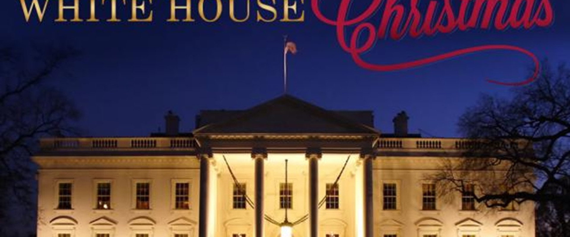 White House Christmas's banner image