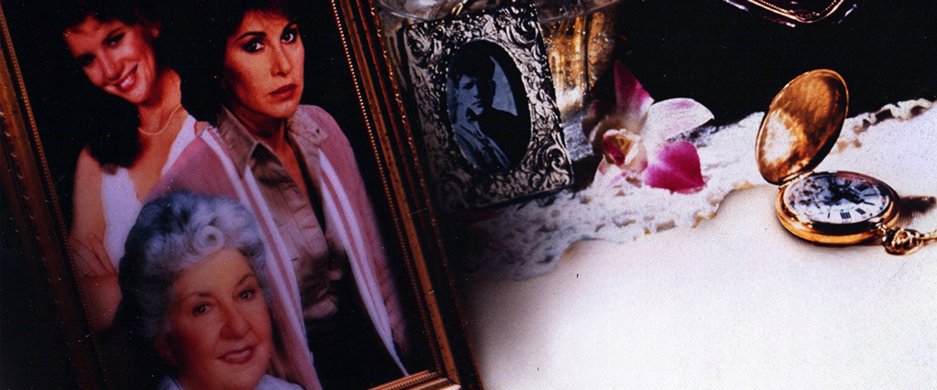 Family Secrets's banner image