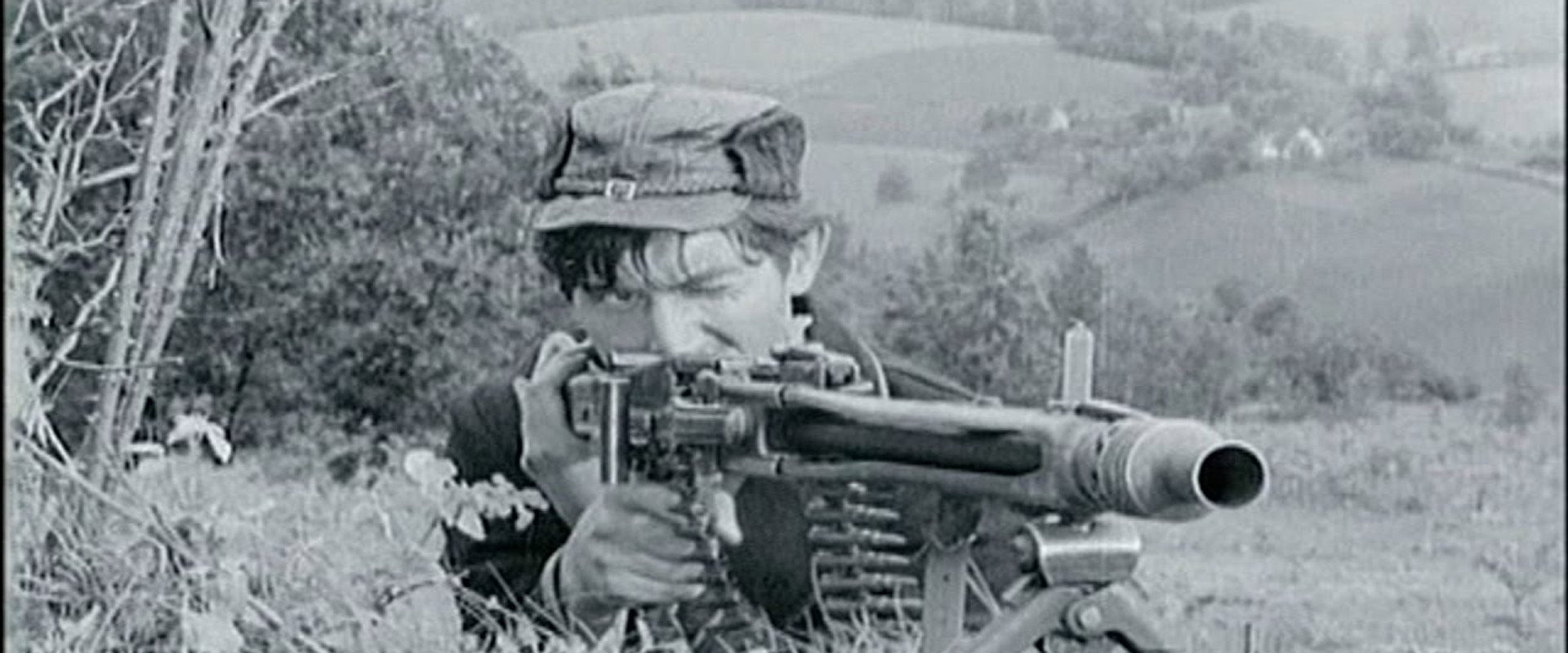 Young Partisans's banner image