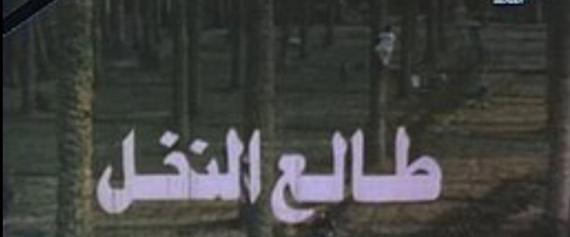 Tali' al-Nakhl's banner image
