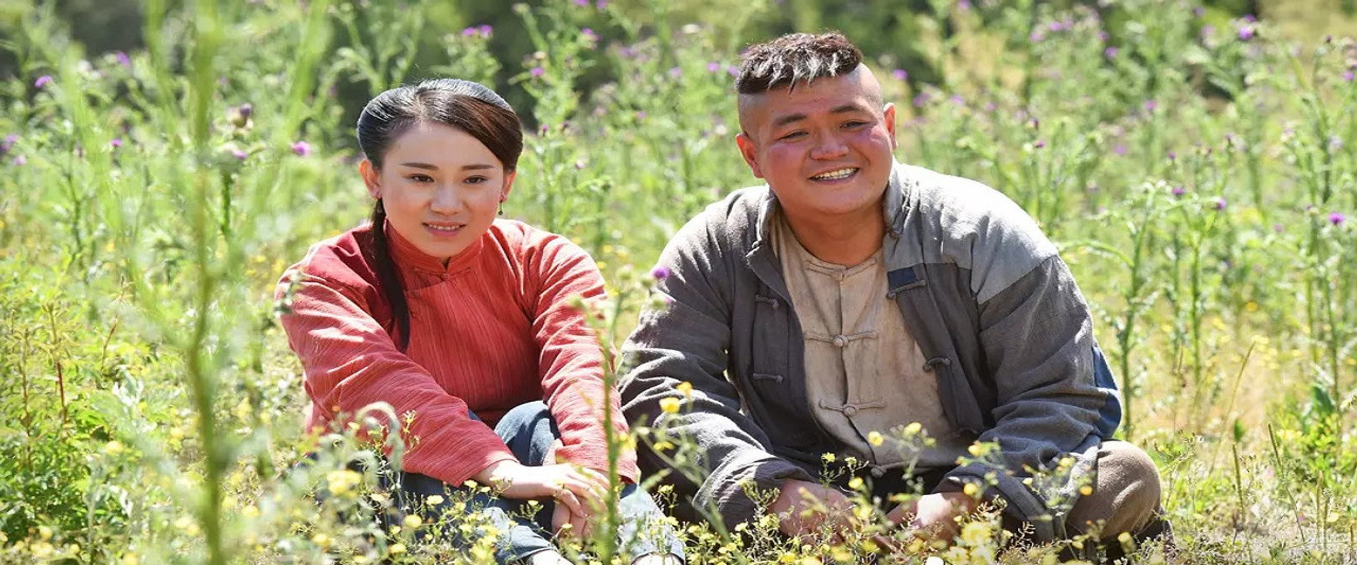 Brother Biao Fight Back to Fengtian's banner image