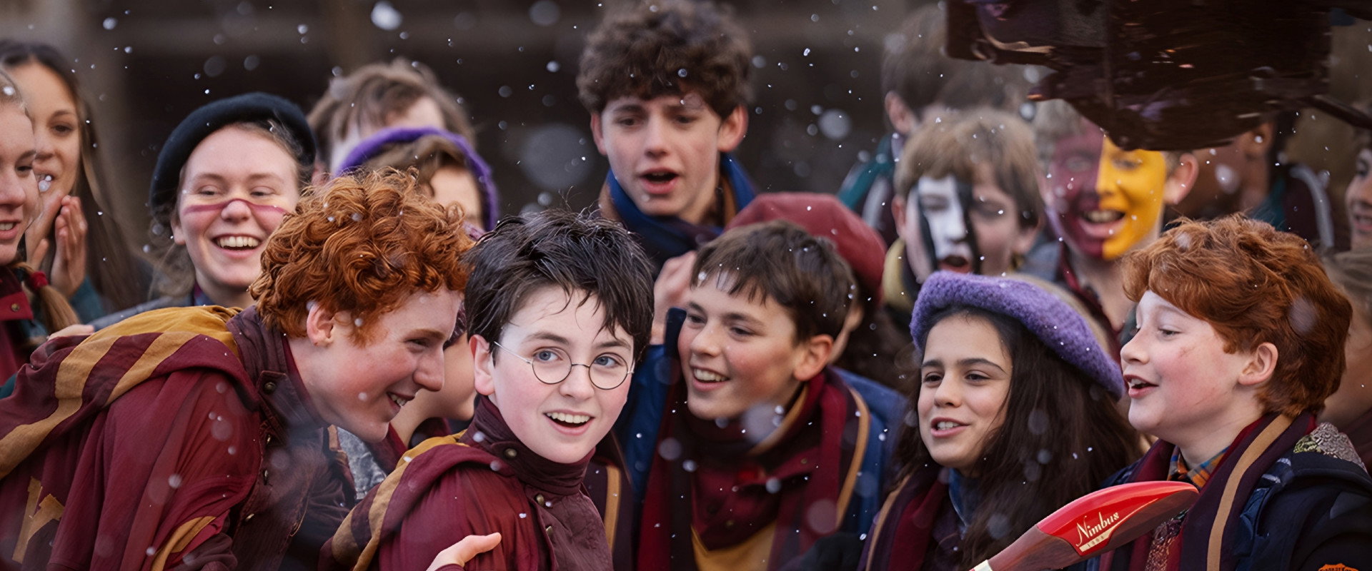 Harry Potter's banner image