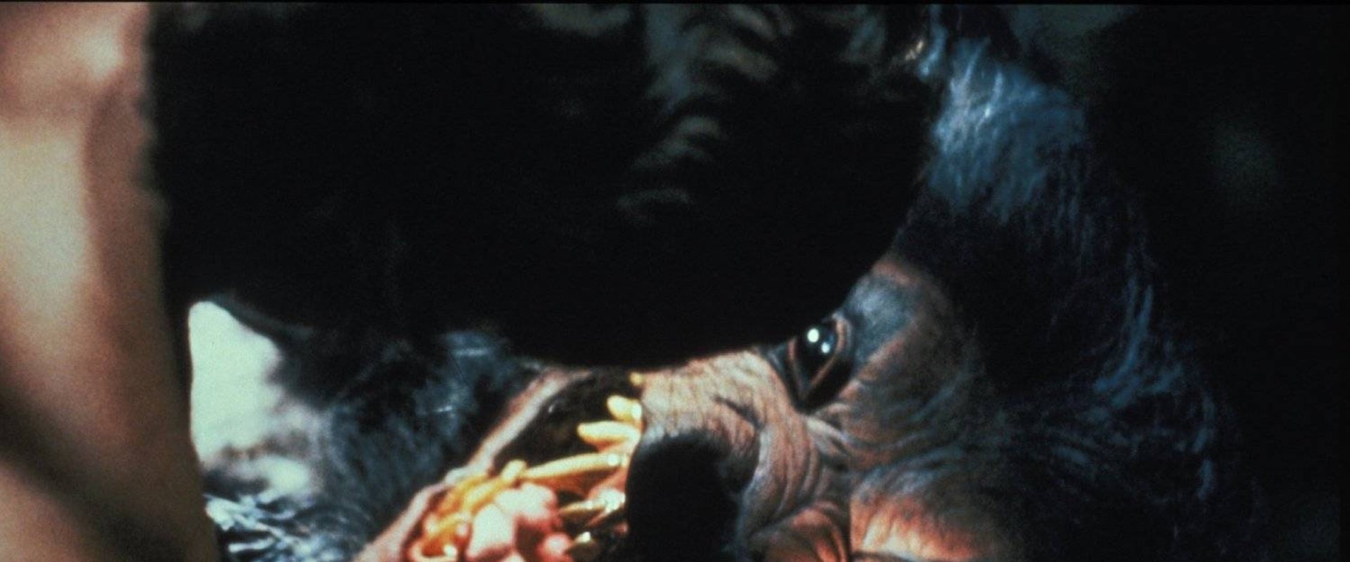 Howling V: The Rebirth