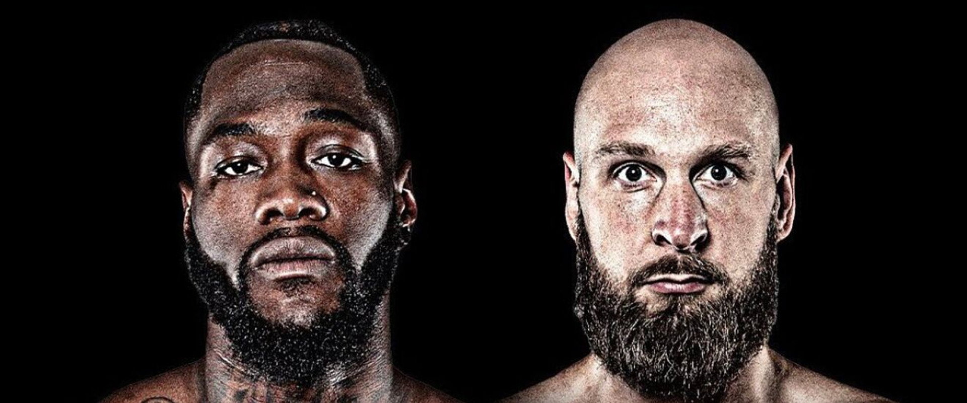 Deontay Wilder vs. Robert Helenius's banner image