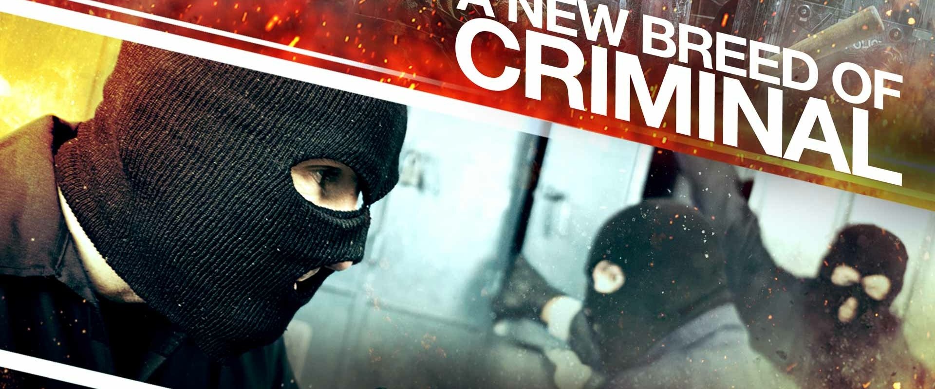 A New Breed of Criminal