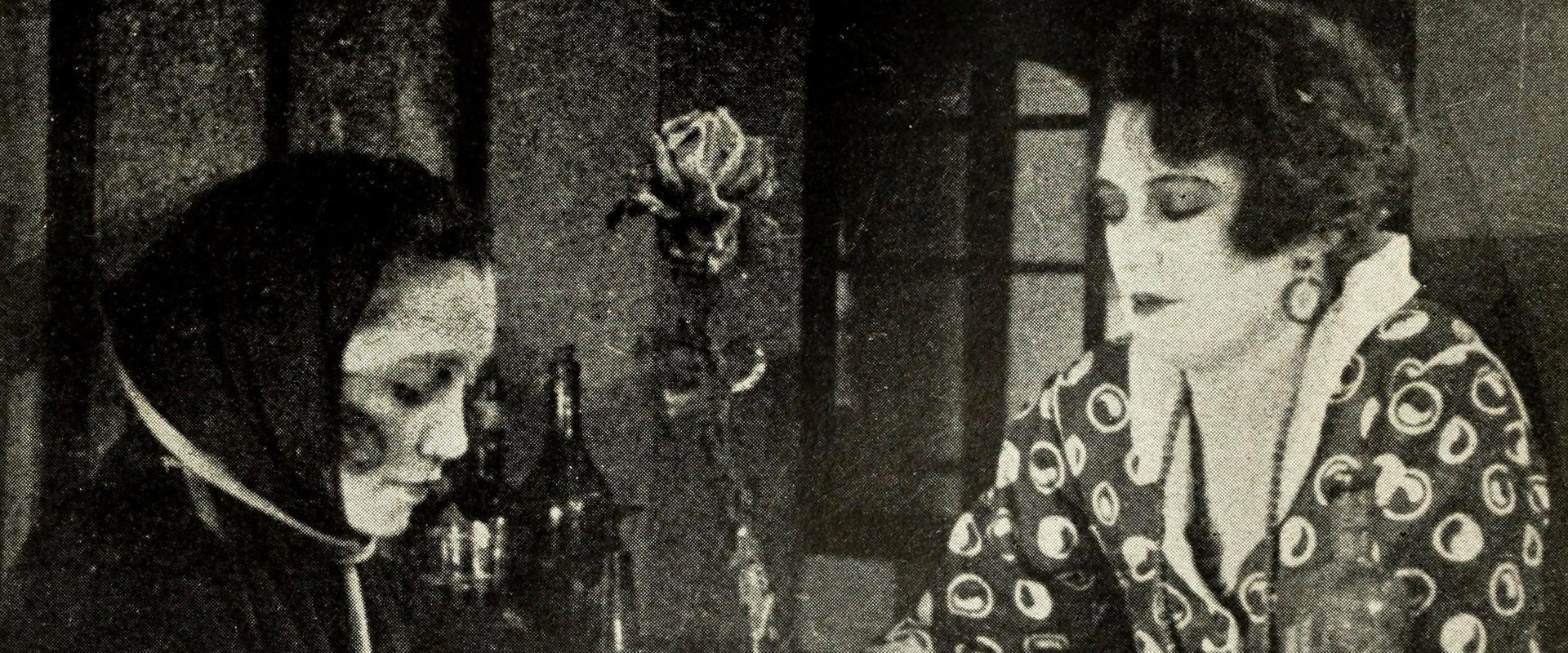 Fièvre's banner image