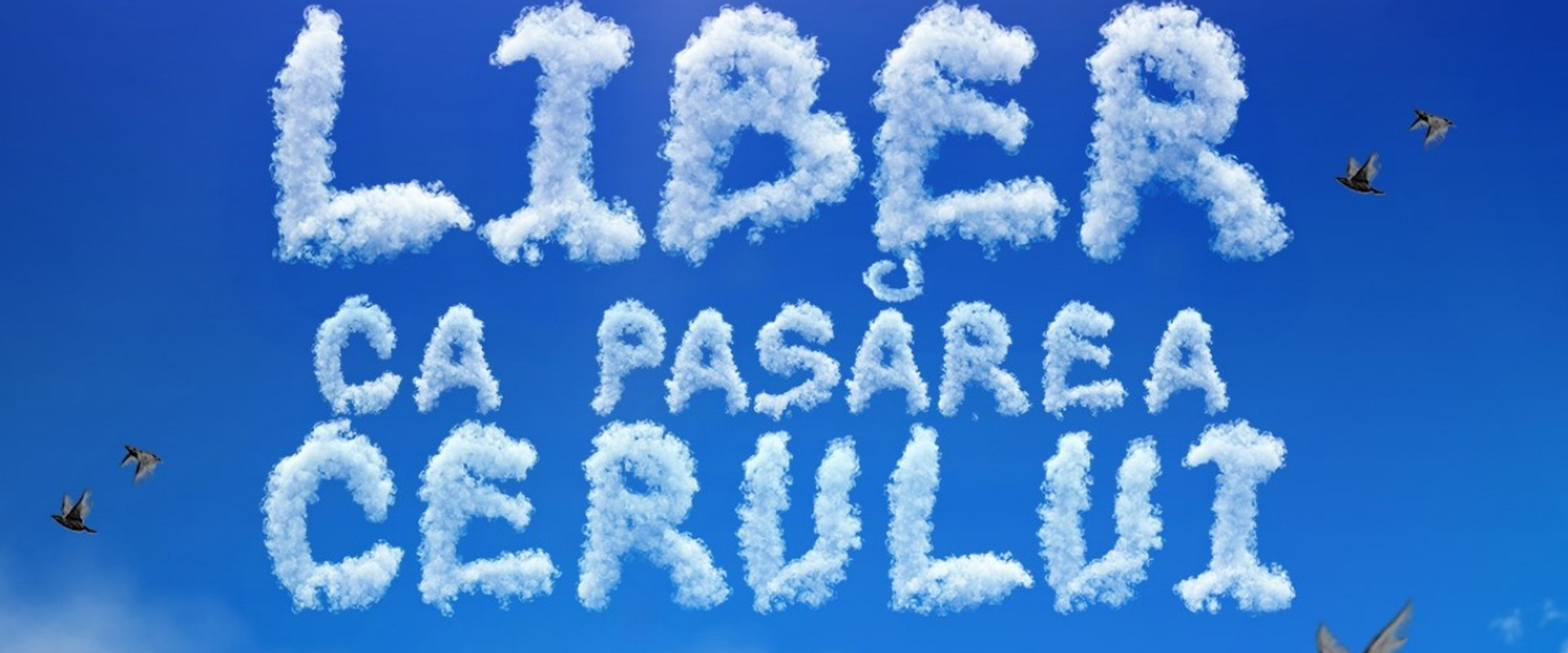 Liber ca pasărea cerului