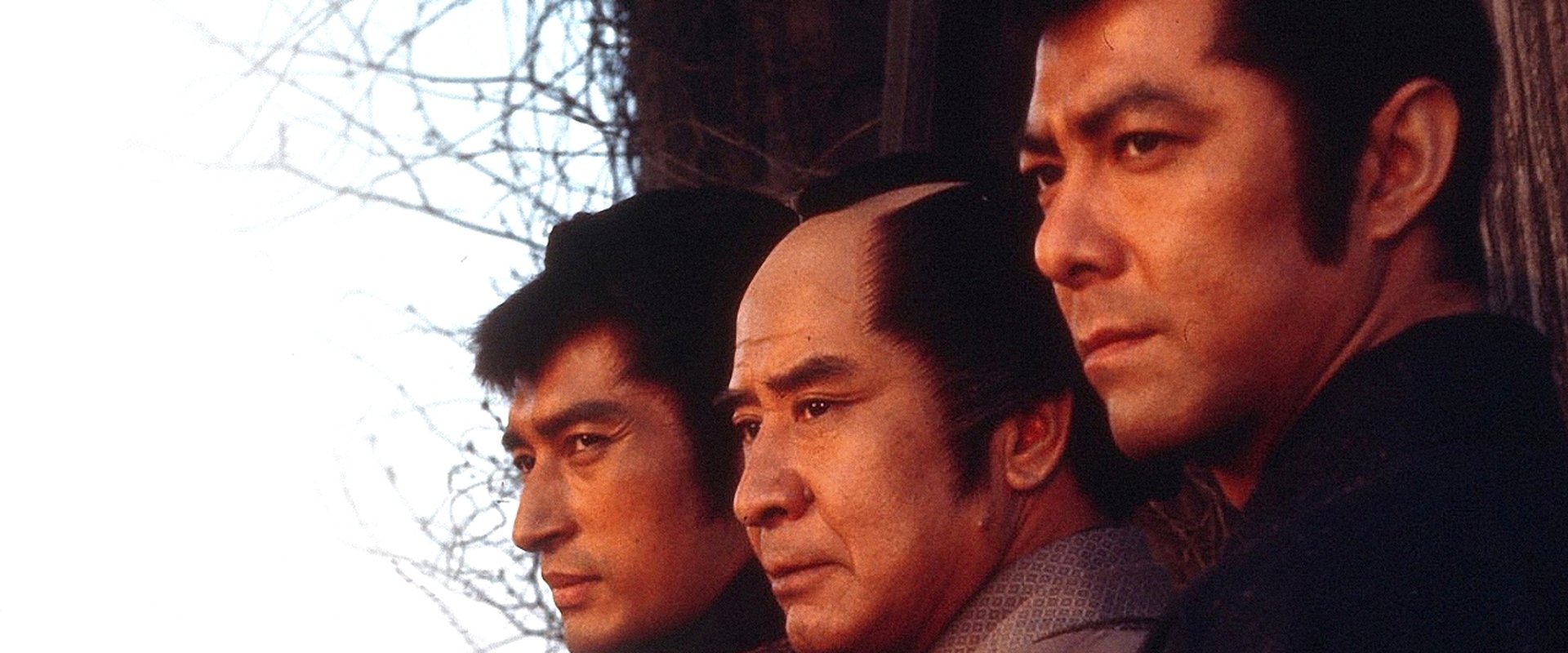 Professional Killers
