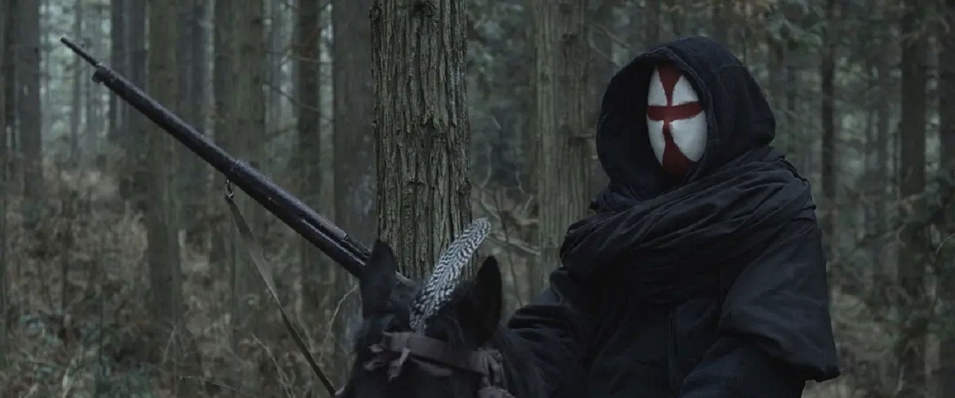 A Mysterious Robber's banner image