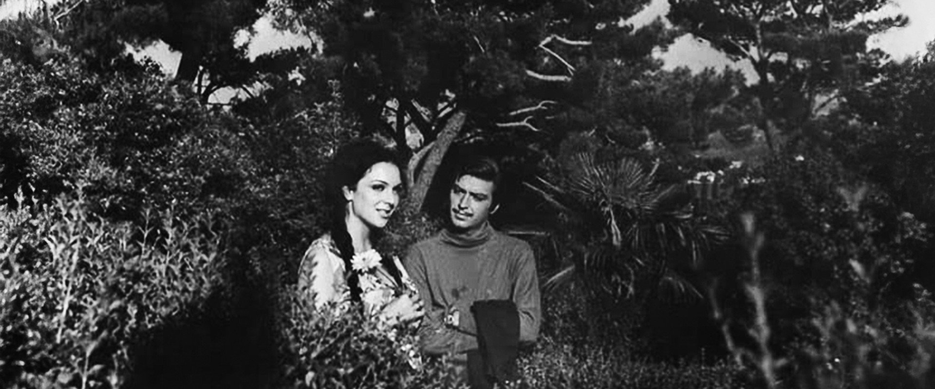 Baharda Solan Çiçek's banner image