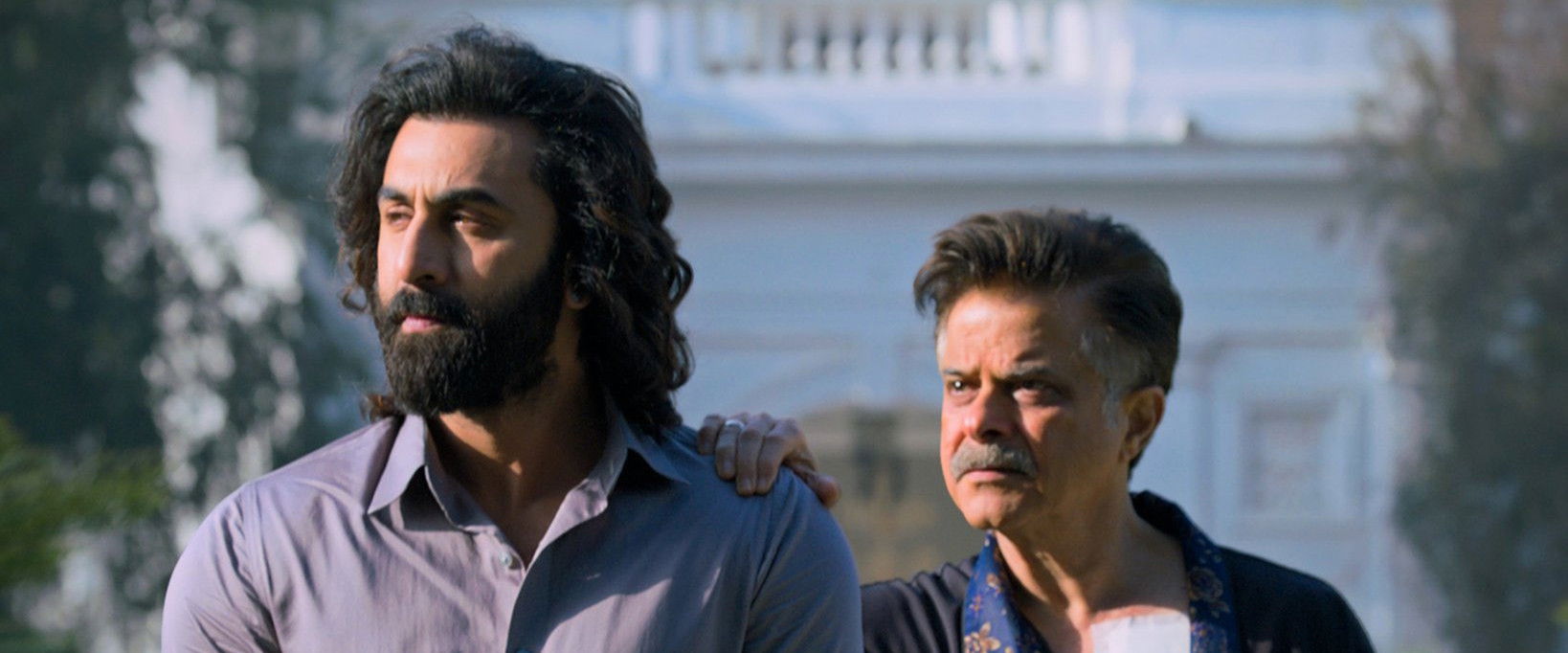 Animal's banner image