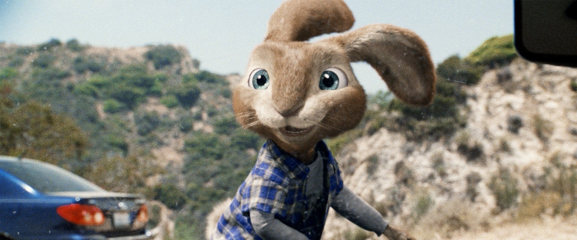Hop
