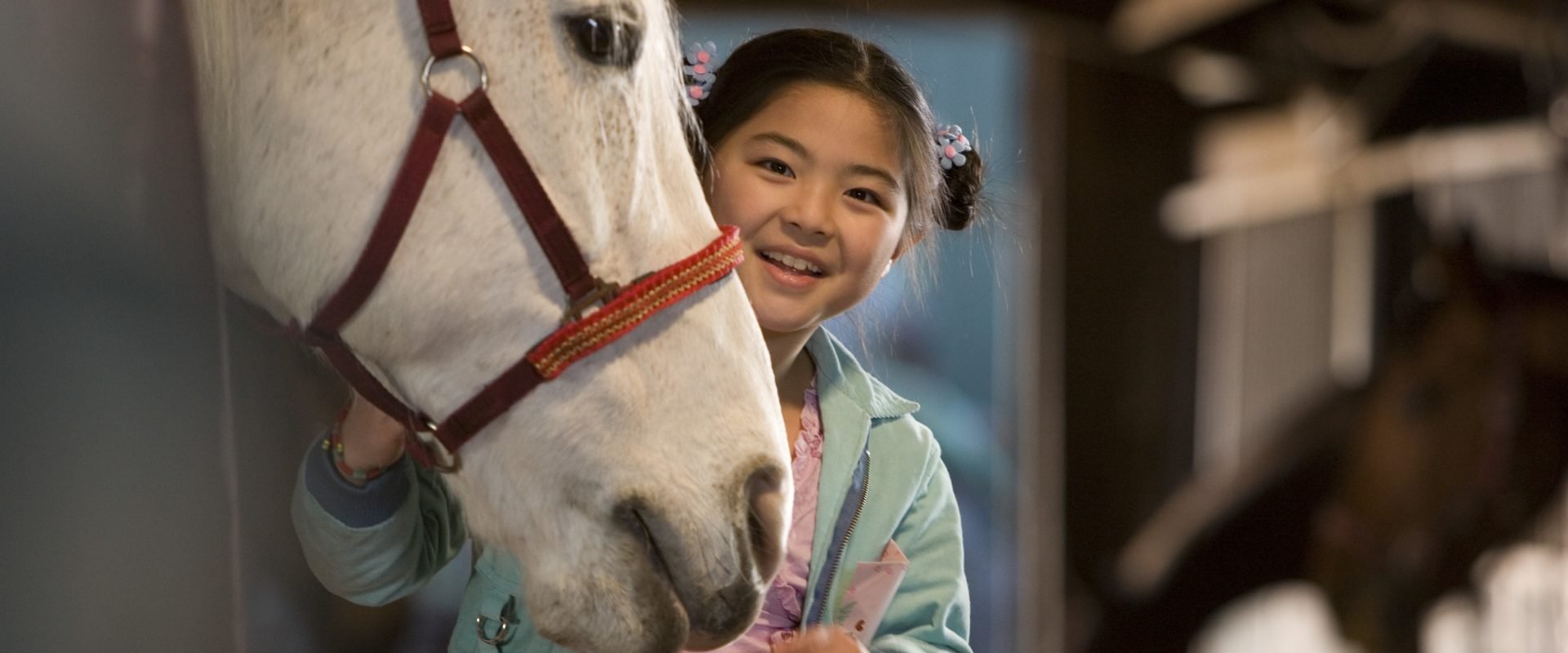 Waar is het paard van Sinterklaas?