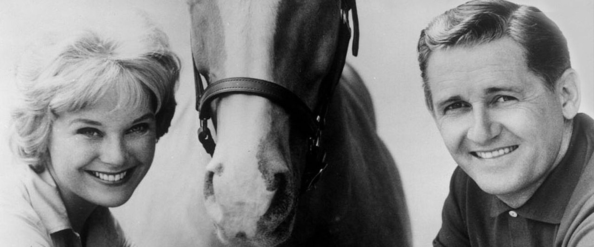 Mister Ed