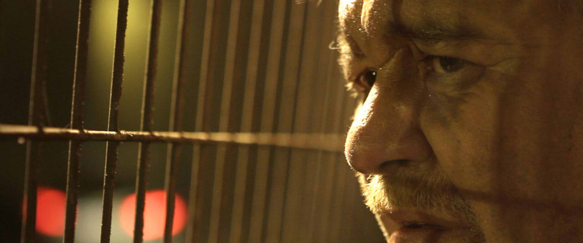 Bareta's banner image