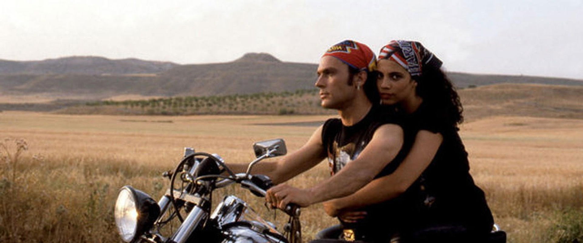 Pink Sauce's banner image