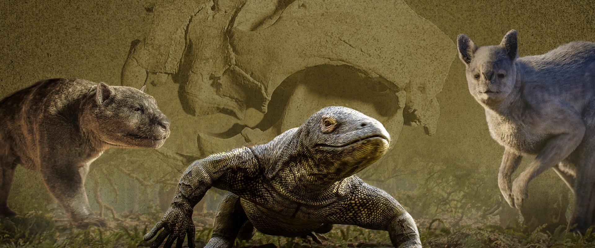Megafauna: What Killed Australia's Giants?