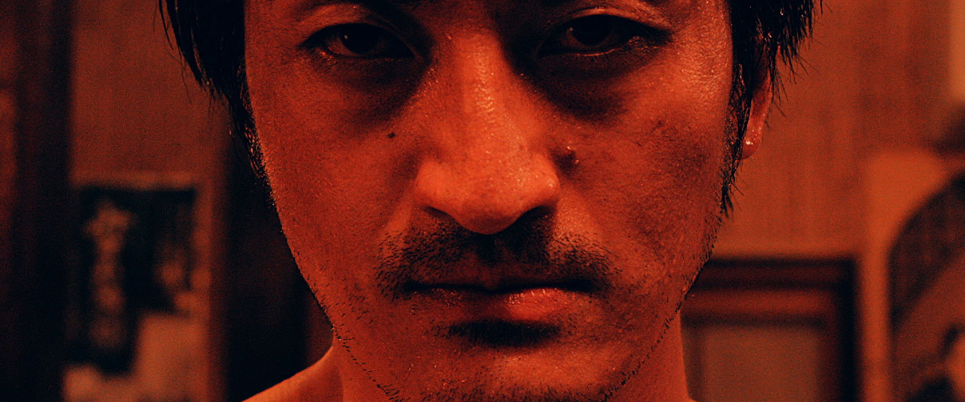 Journey of the Tortoise's banner image