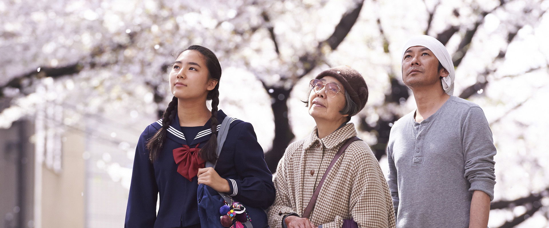 Sweet Bean's banner image