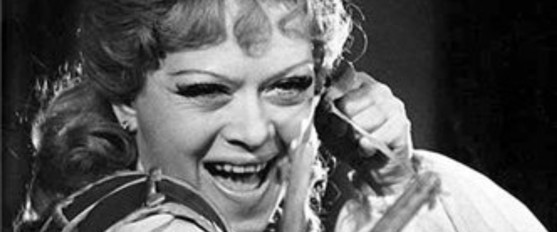 The Taming of the Shrew's banner image