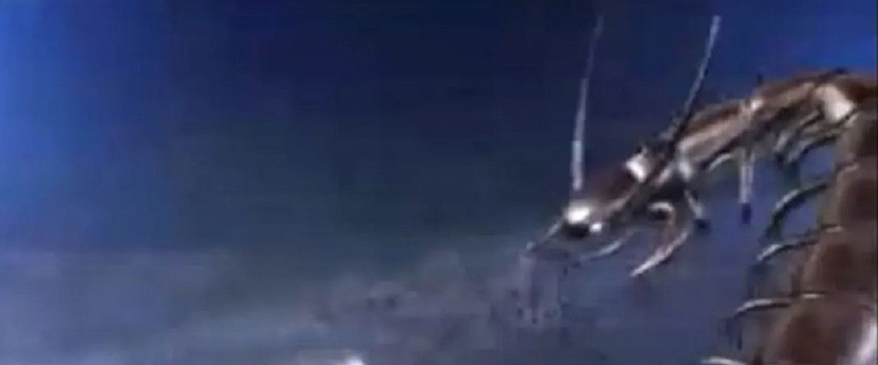 Fairy of the Chalice