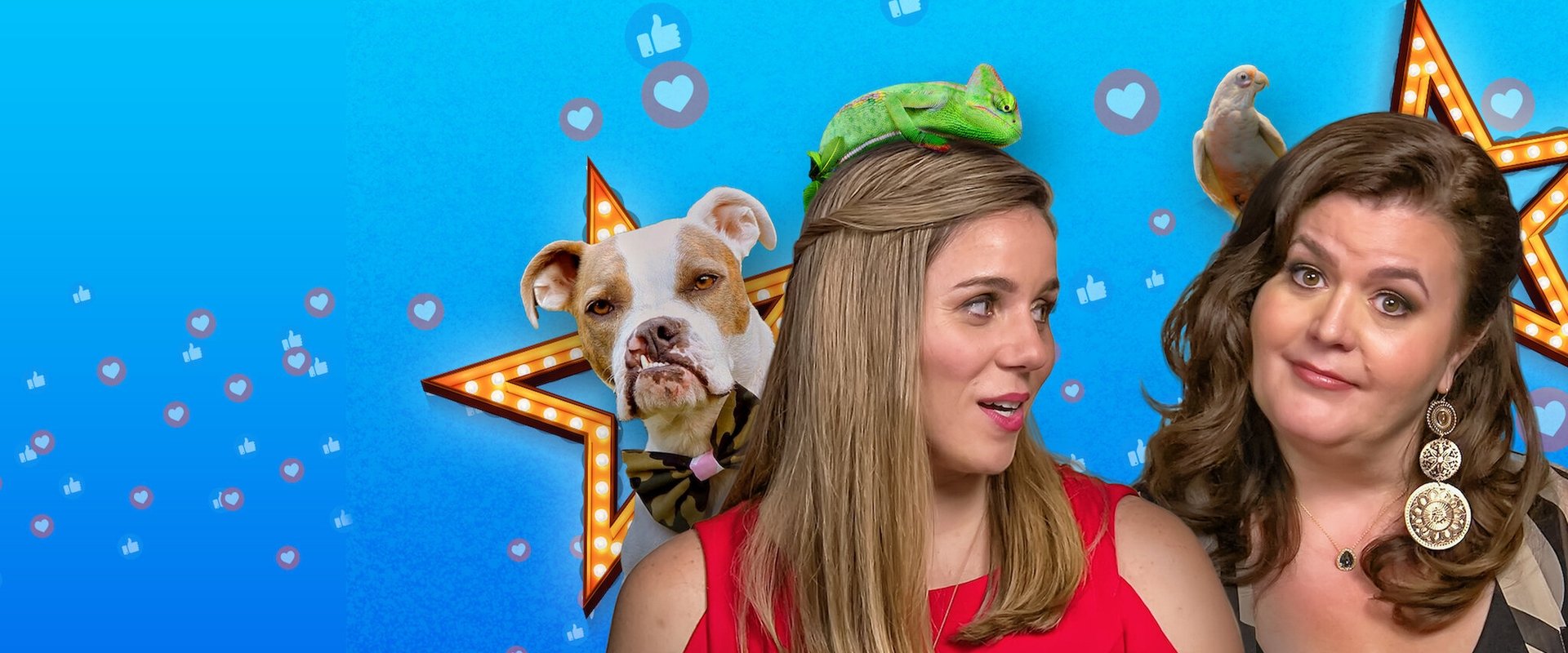 Pet Stars