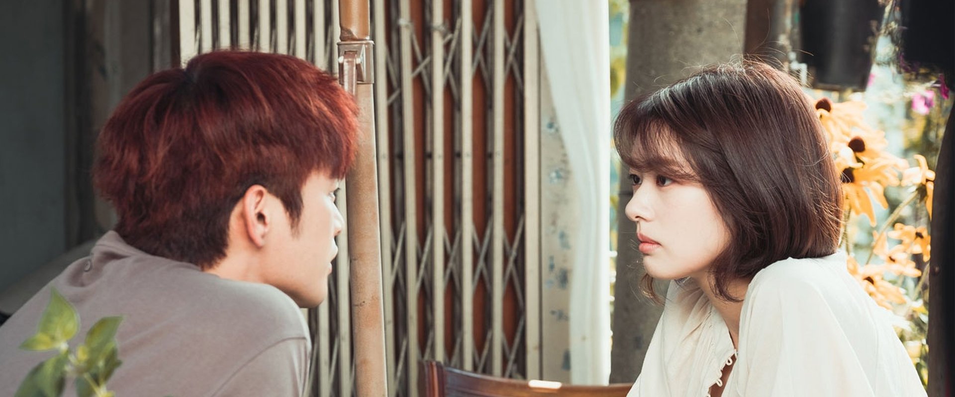 하늘에서 내리는 일억개의 별 dizisi için arka plan görseli