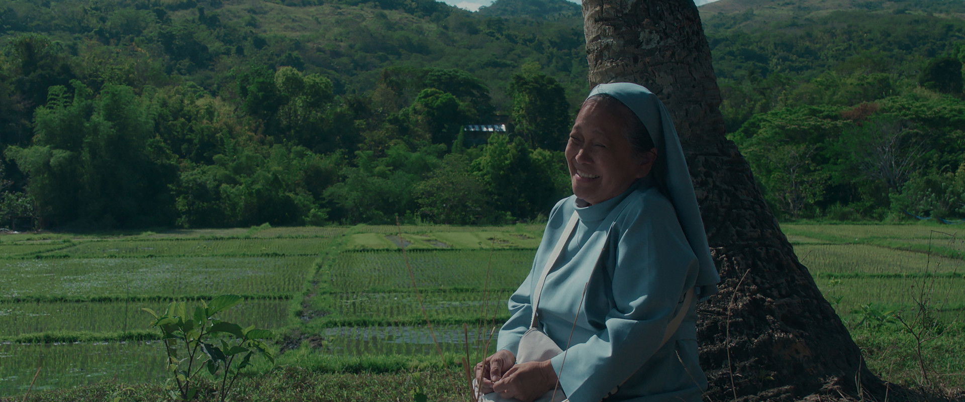 First Light's banner image