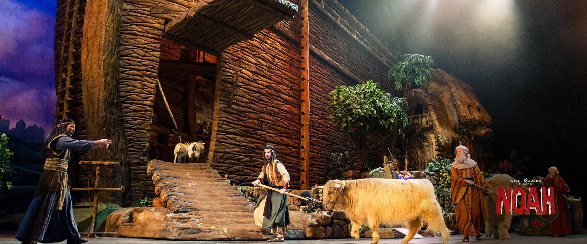 Noah