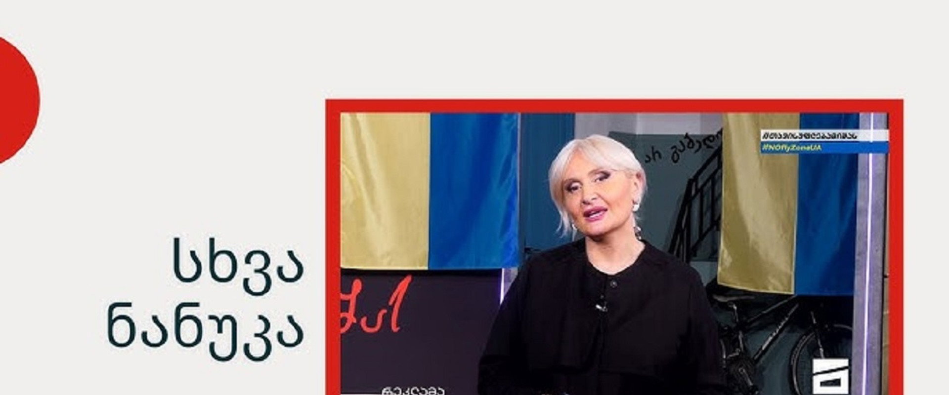 სხვა ნანუკა's banner image