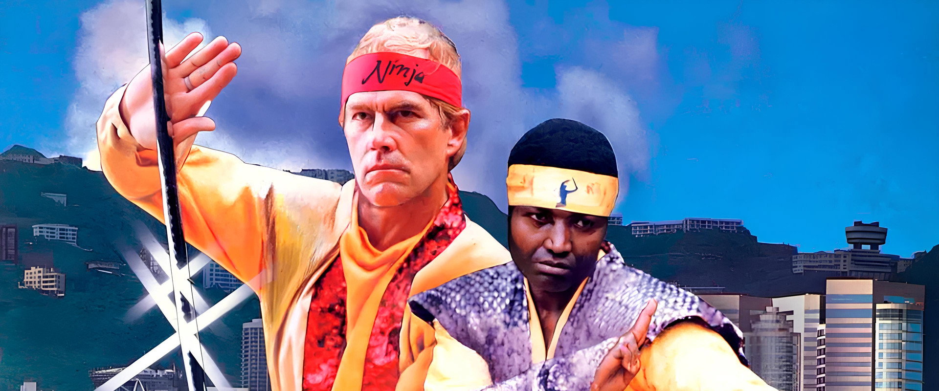 Ninja Operation: Knight and Warrior's banner image