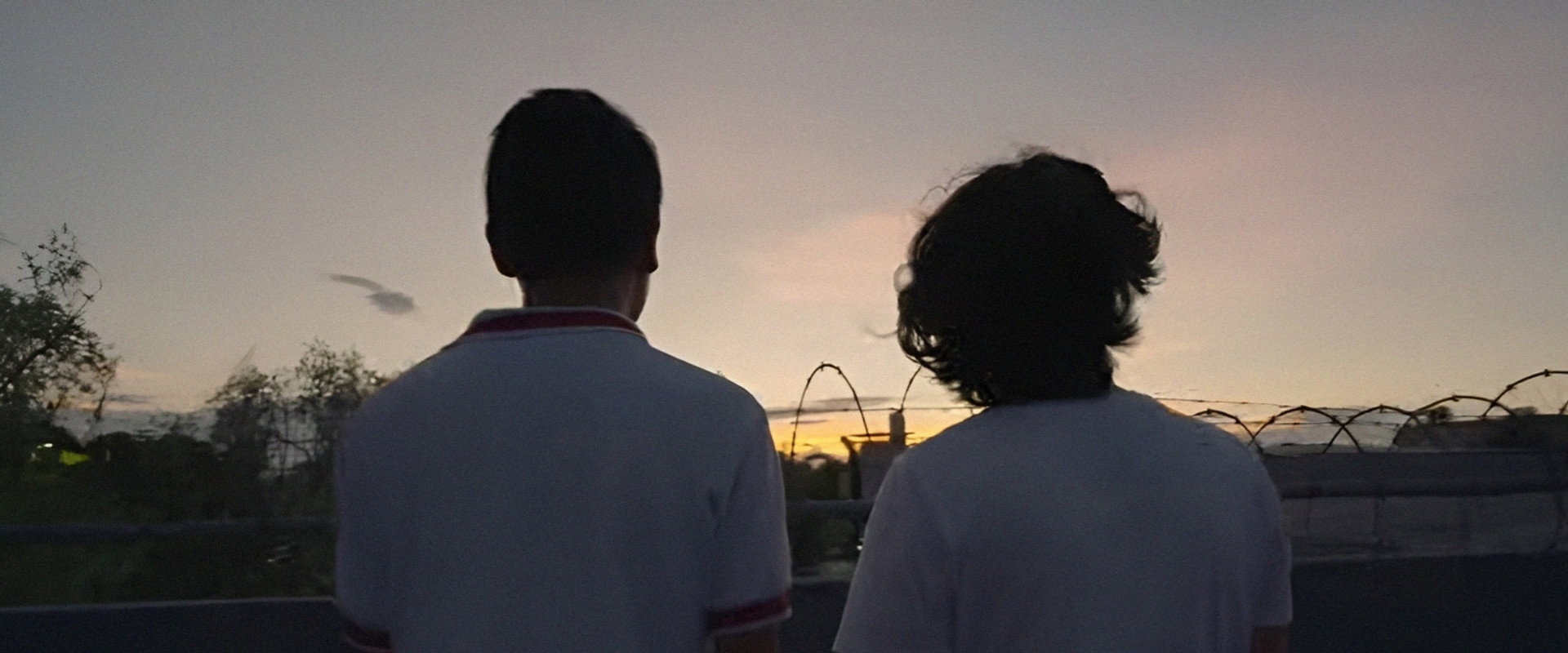 No Vayas a Clase Mañana