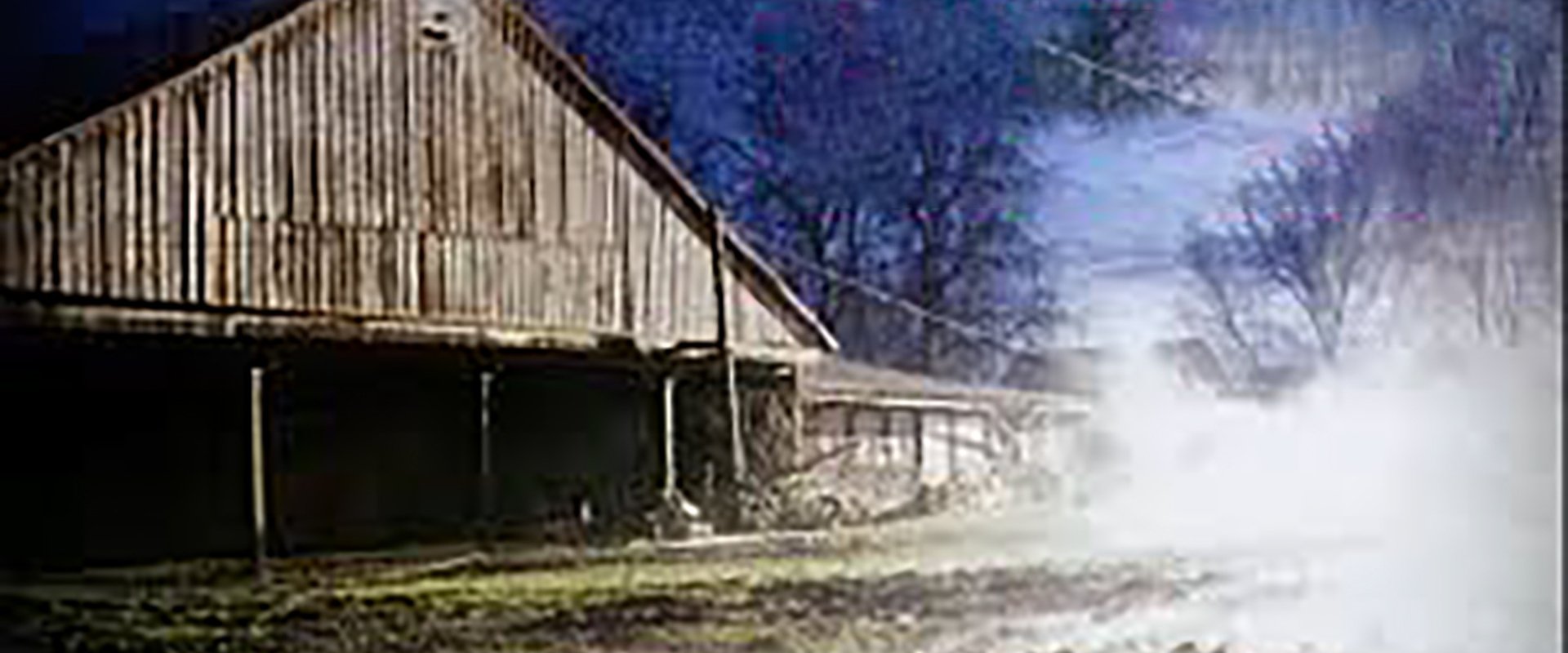 The Pig Farm