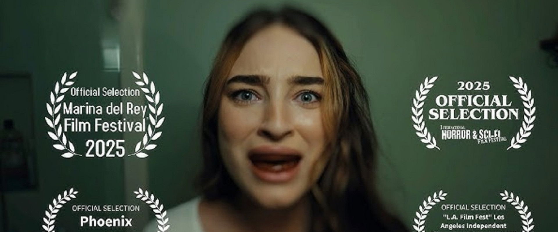 Funny Bunny's banner image