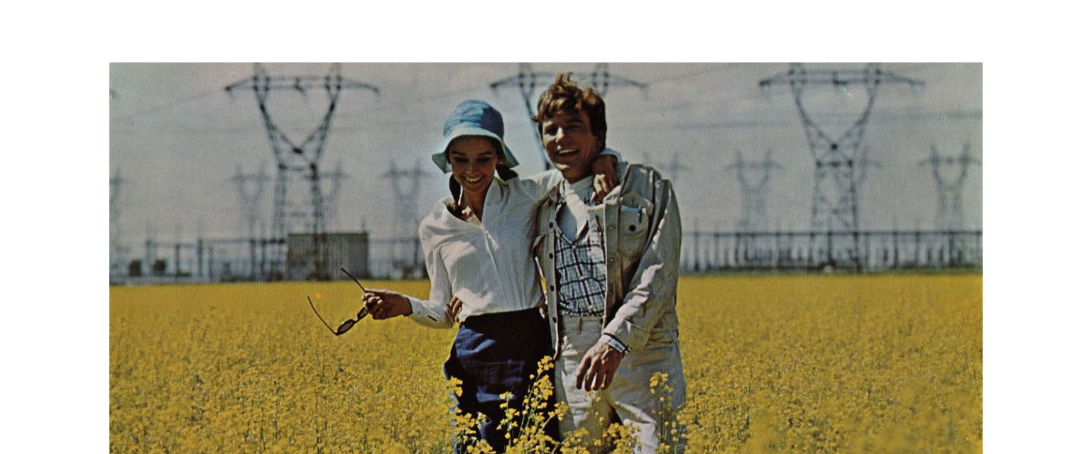 Two for the Road's banner image