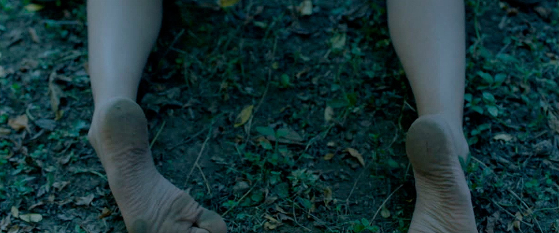 Corpúsculo