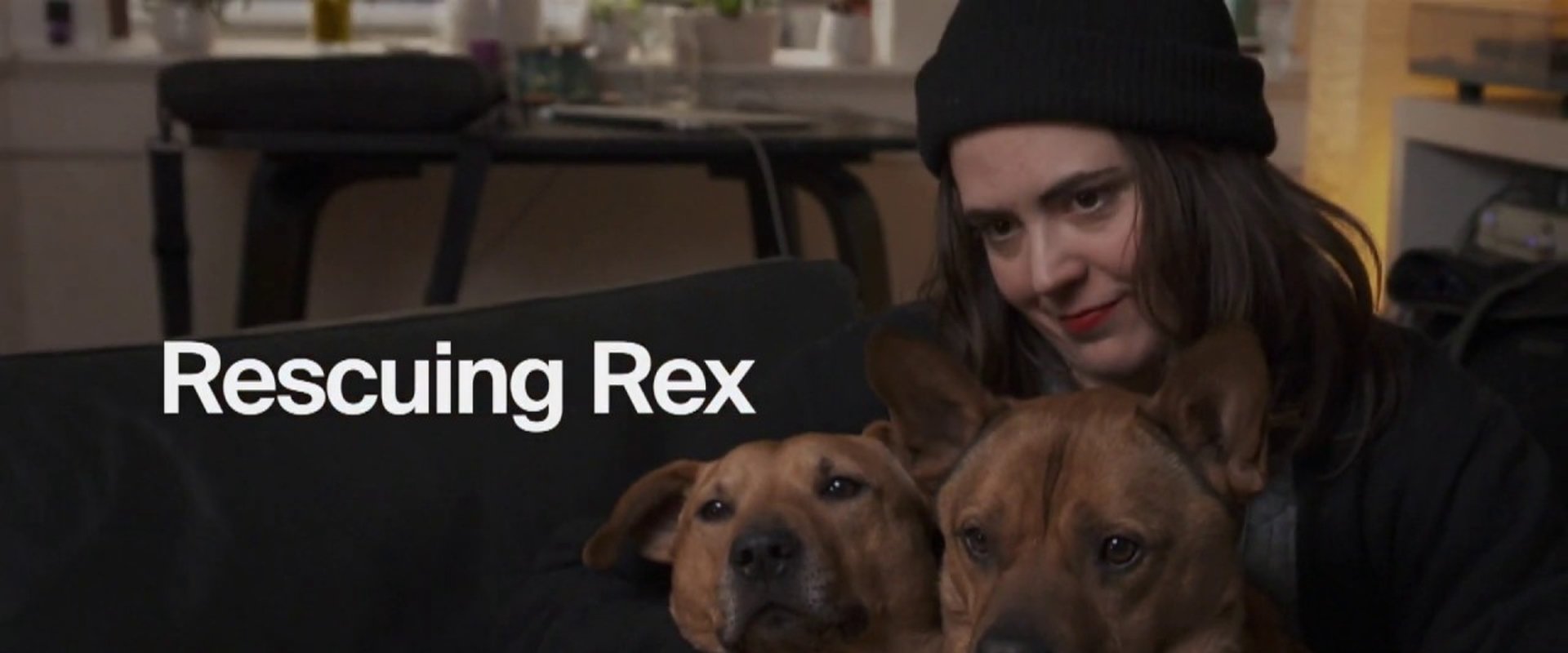 Rescuing Rex
