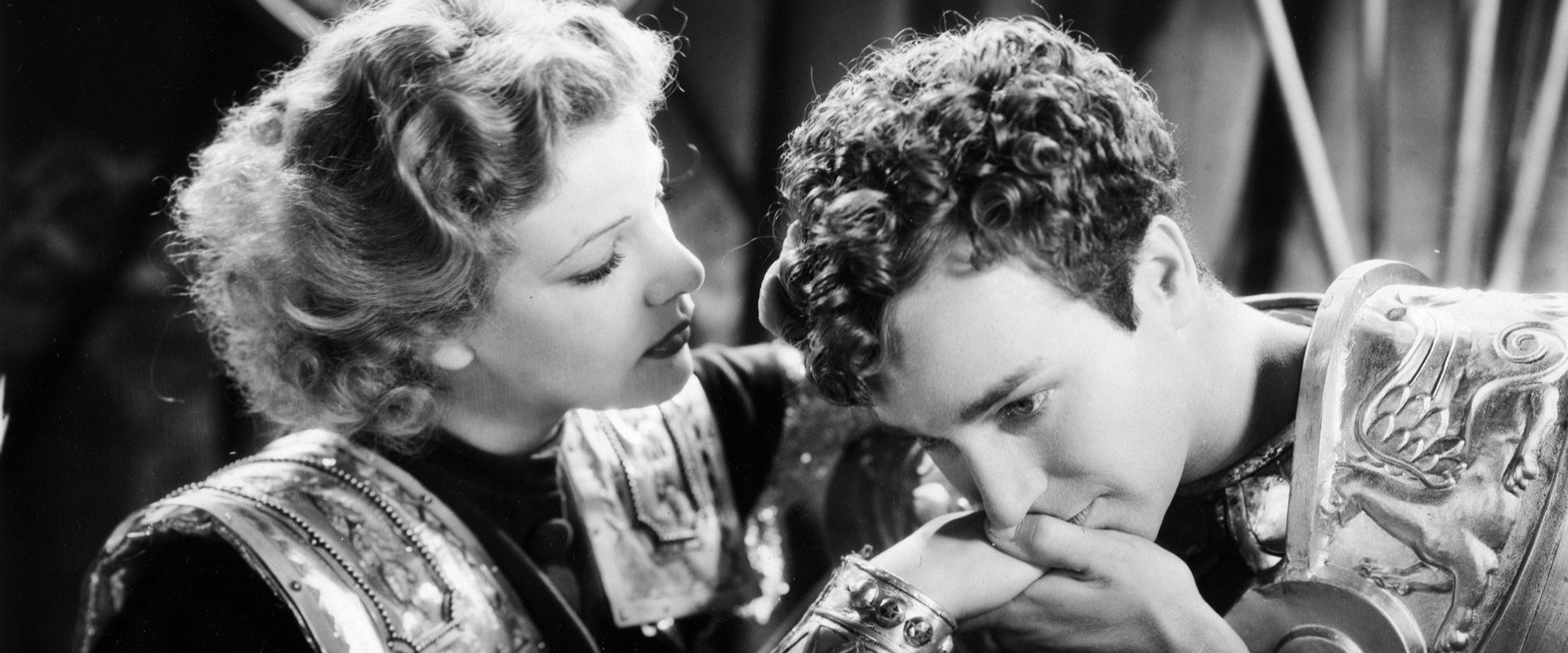 The Warrior's Husband's banner image