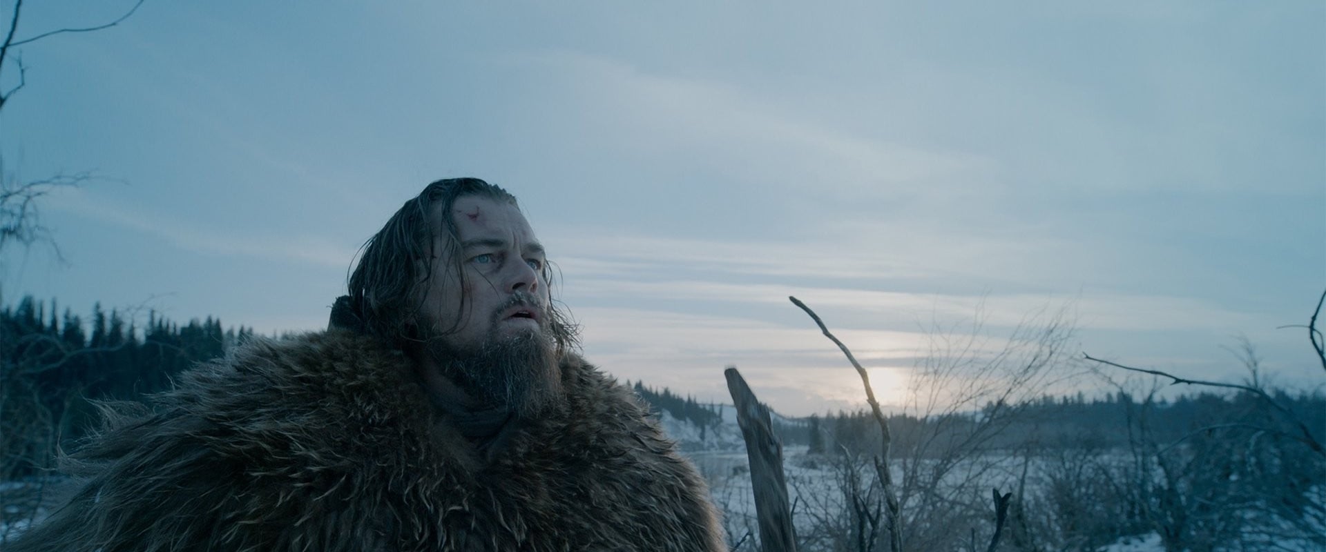 The Revenant